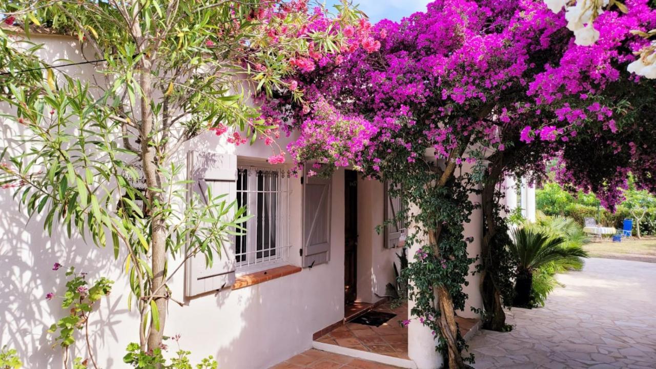 Villa Provencale A Sainte Maxime, Golf De Saint Tropez Extérieur photo