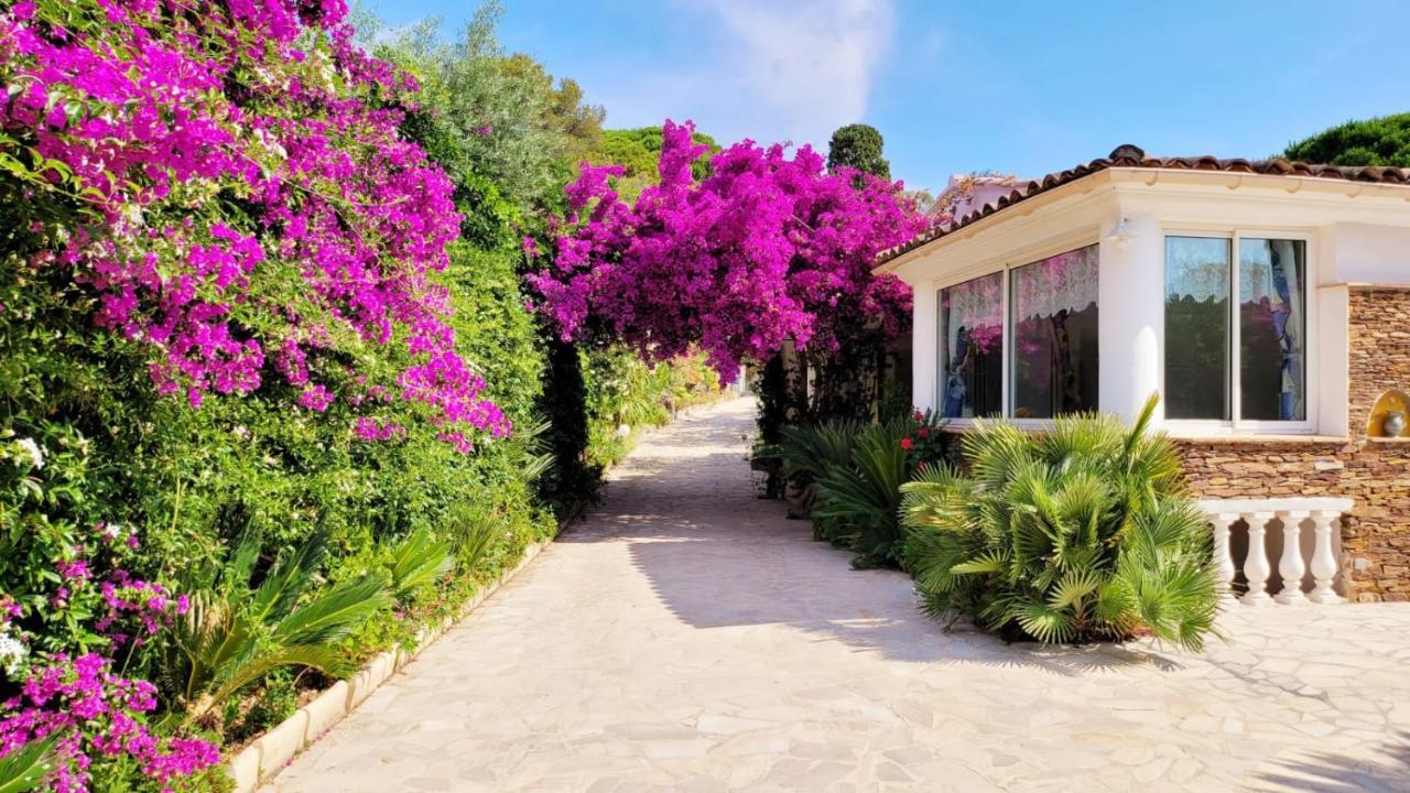 Villa Provencale A Sainte Maxime, Golf De Saint Tropez Extérieur photo