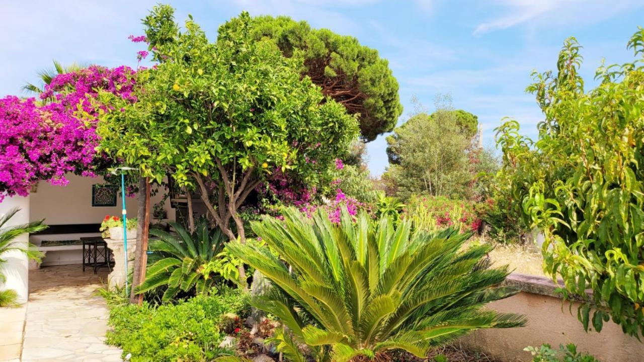 Villa Provencale A Sainte Maxime, Golf De Saint Tropez Extérieur photo