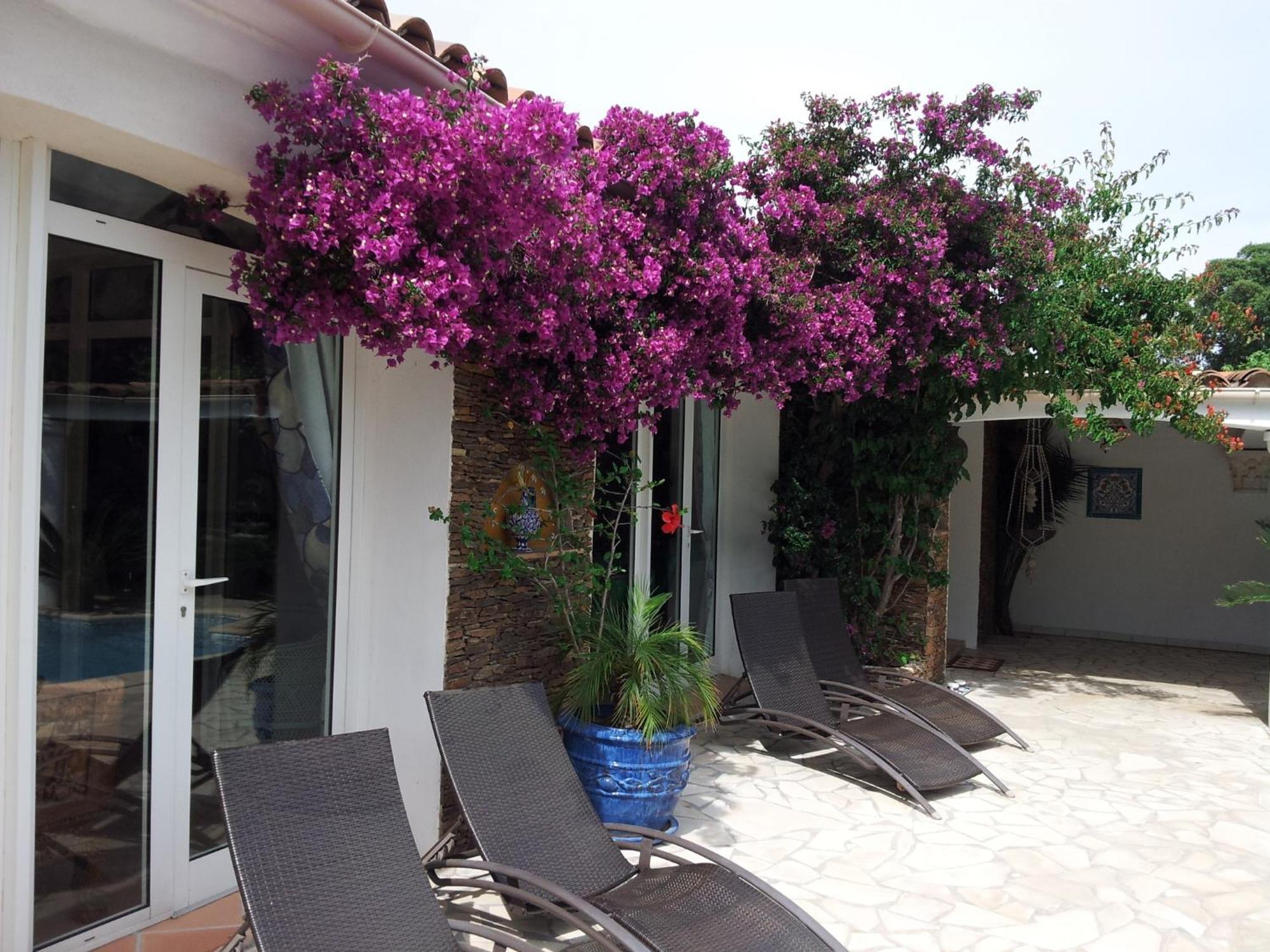 Villa Provencale A Sainte Maxime, Golf De Saint Tropez Extérieur photo