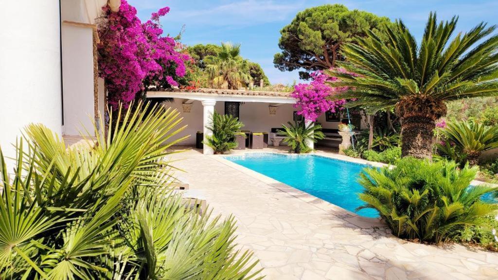 Villa Provencale A Sainte Maxime, Golf De Saint Tropez Extérieur photo
